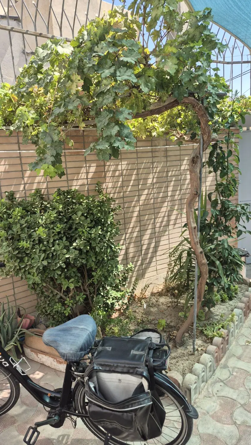 فروش منزل مسکونی