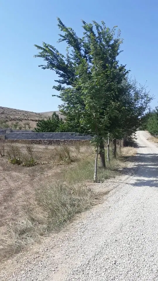 فروش زمین و خانه  ویلایی در لنگر و واوسر