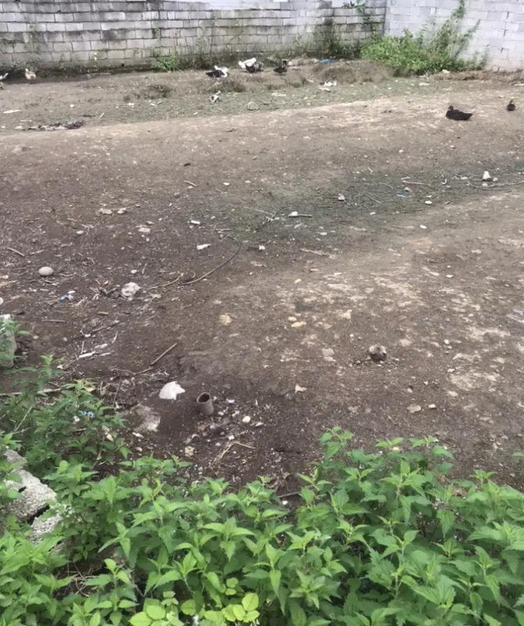 زمین مسکونی ۲۳۰ متر