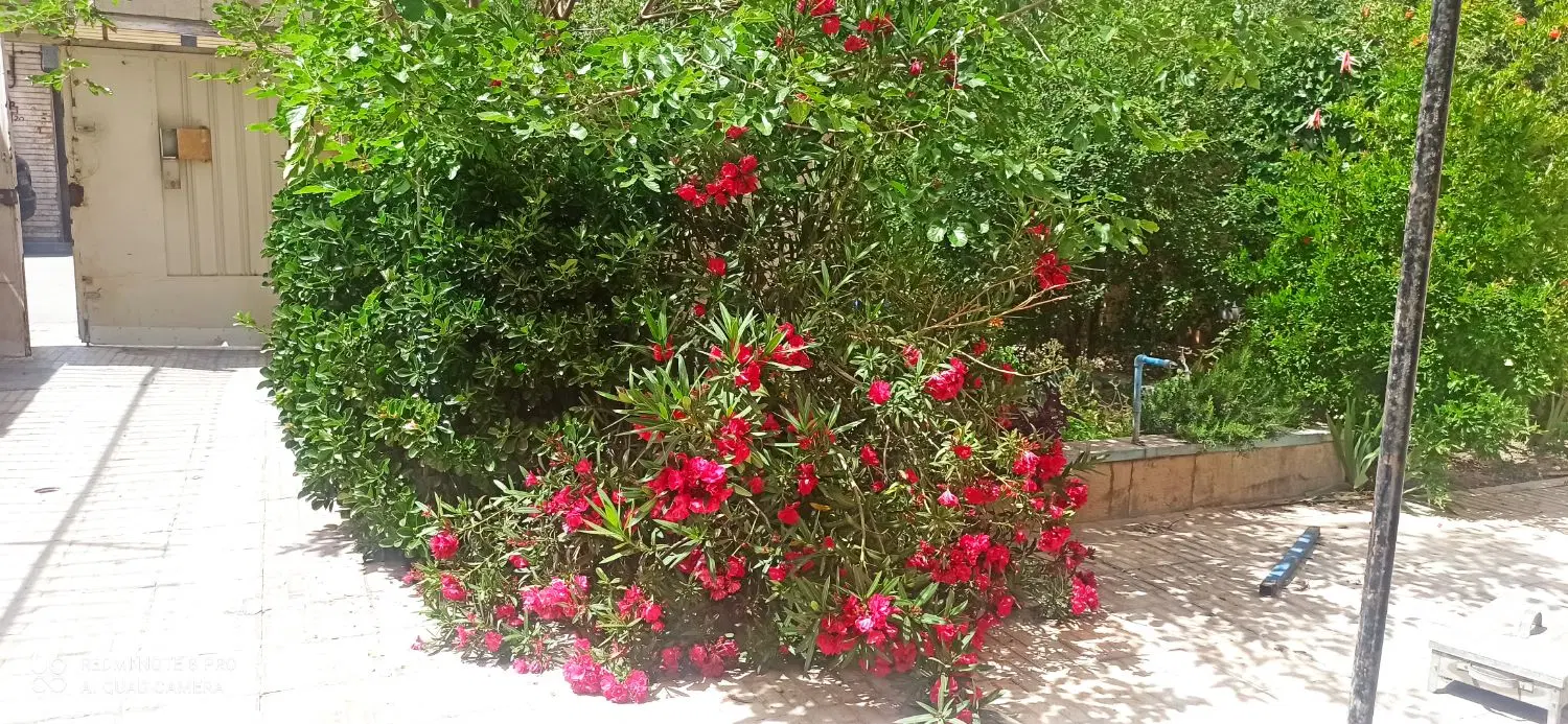 فروش زمین چهاردیواری باغی