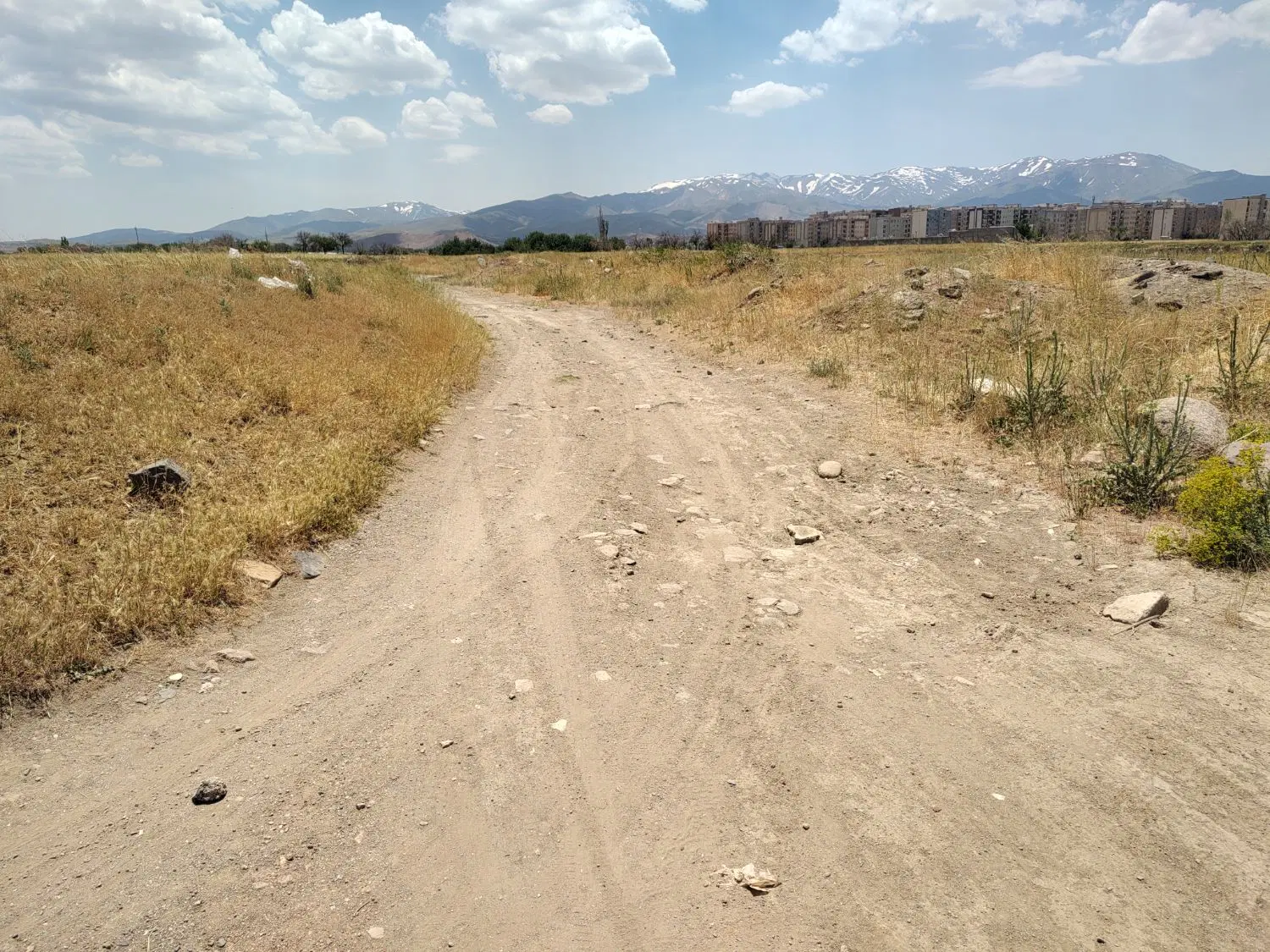 زمین باغی