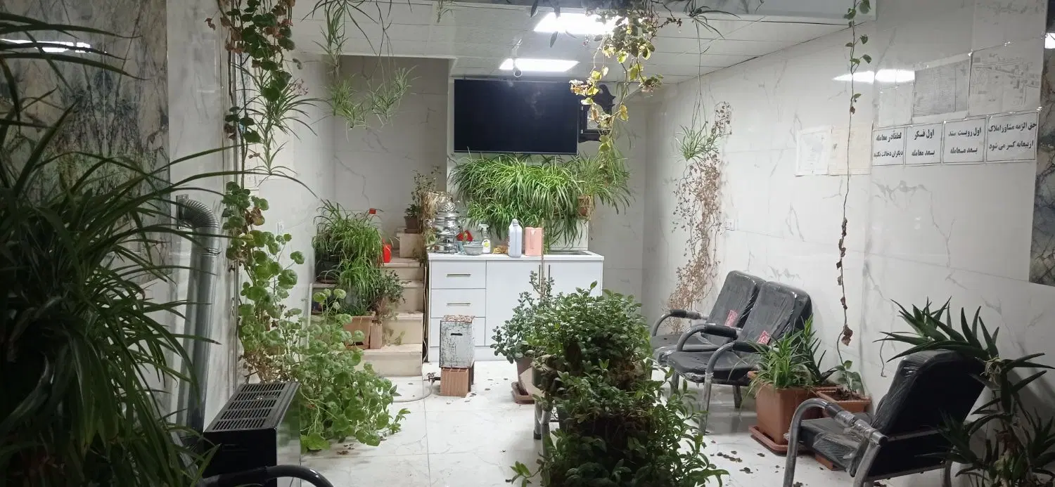 مغازه بر خیابان اصلی
