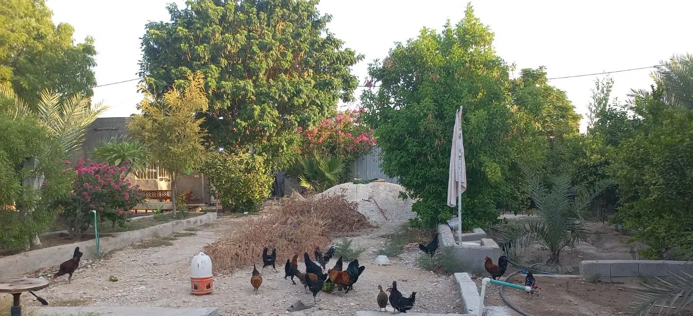 فروش خونه باغ