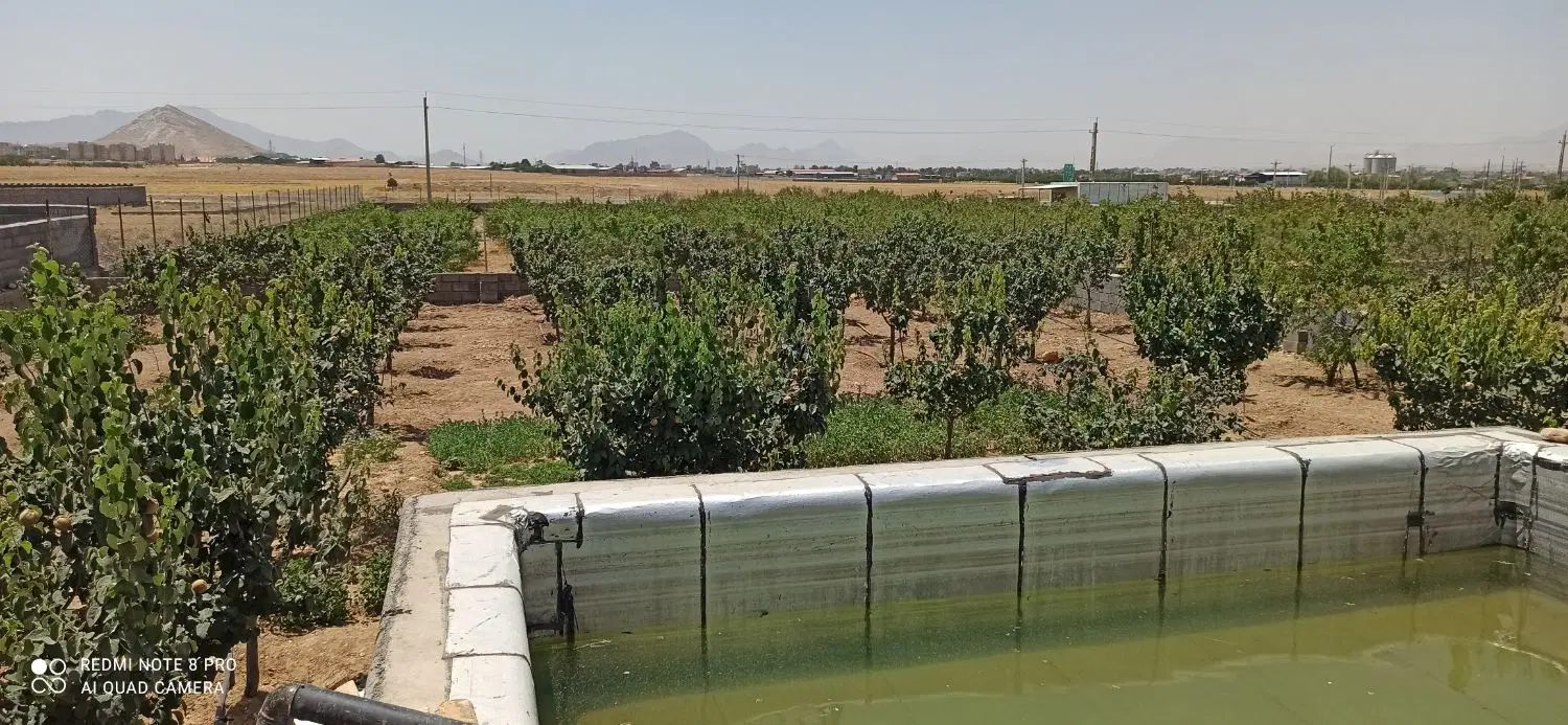 فروش باغ