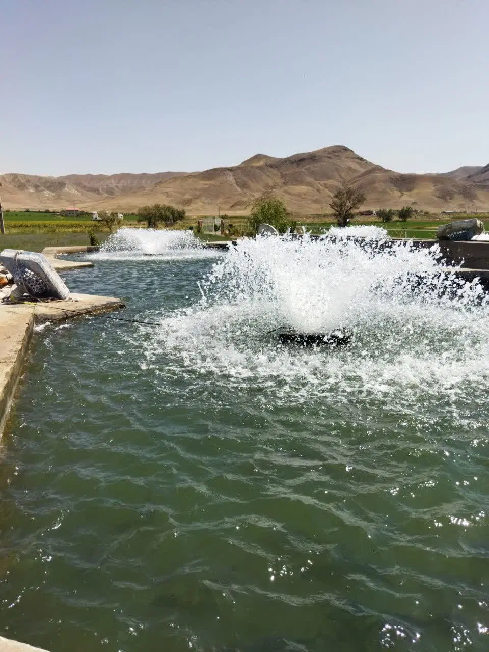 اجاره پرورش ماهی