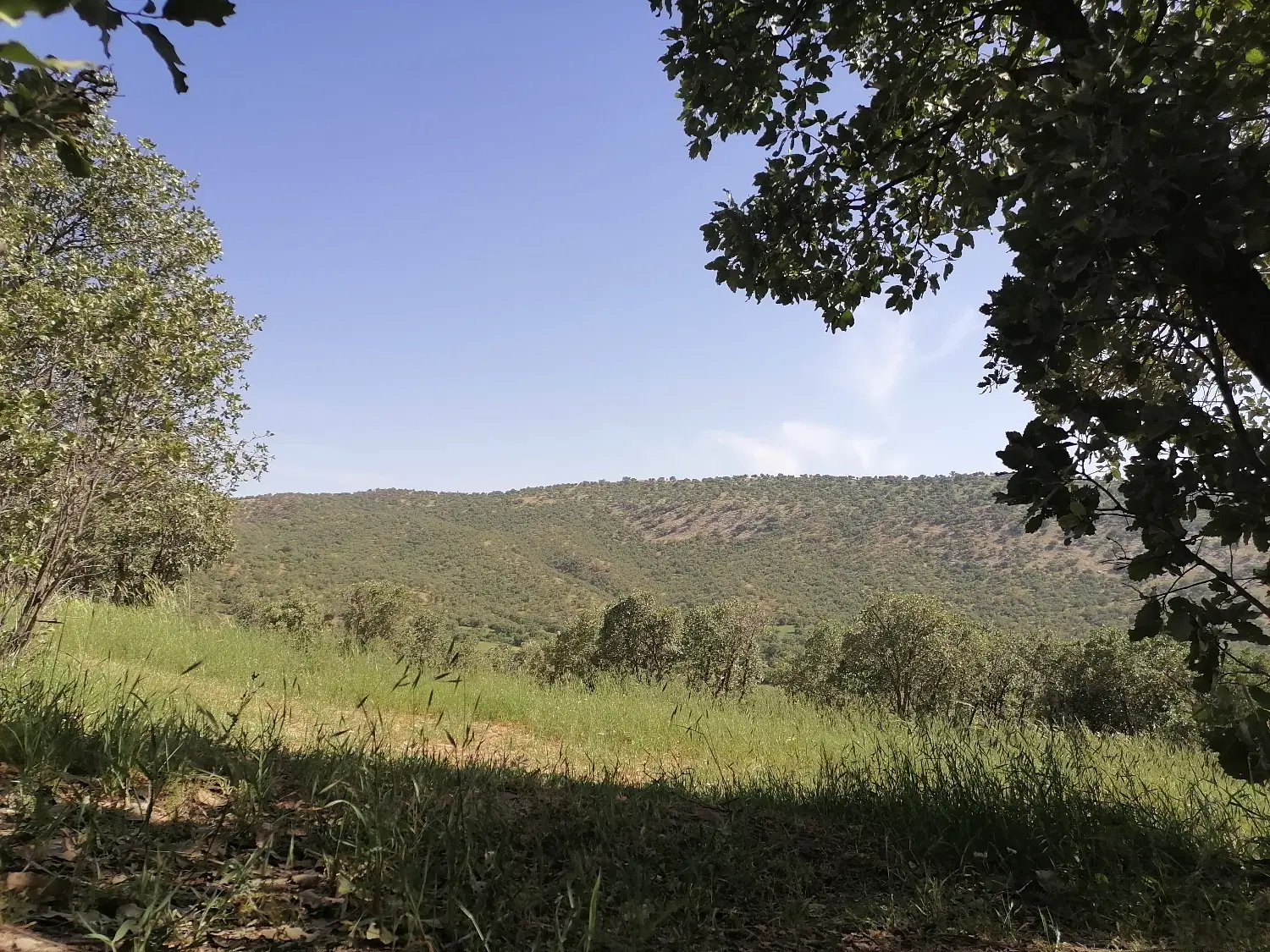 زمین مسکونی به متراژ ۱۱۰متر