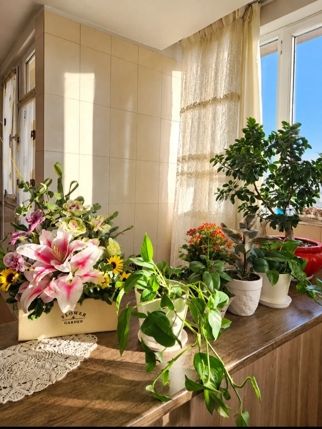 فروش مسکونی