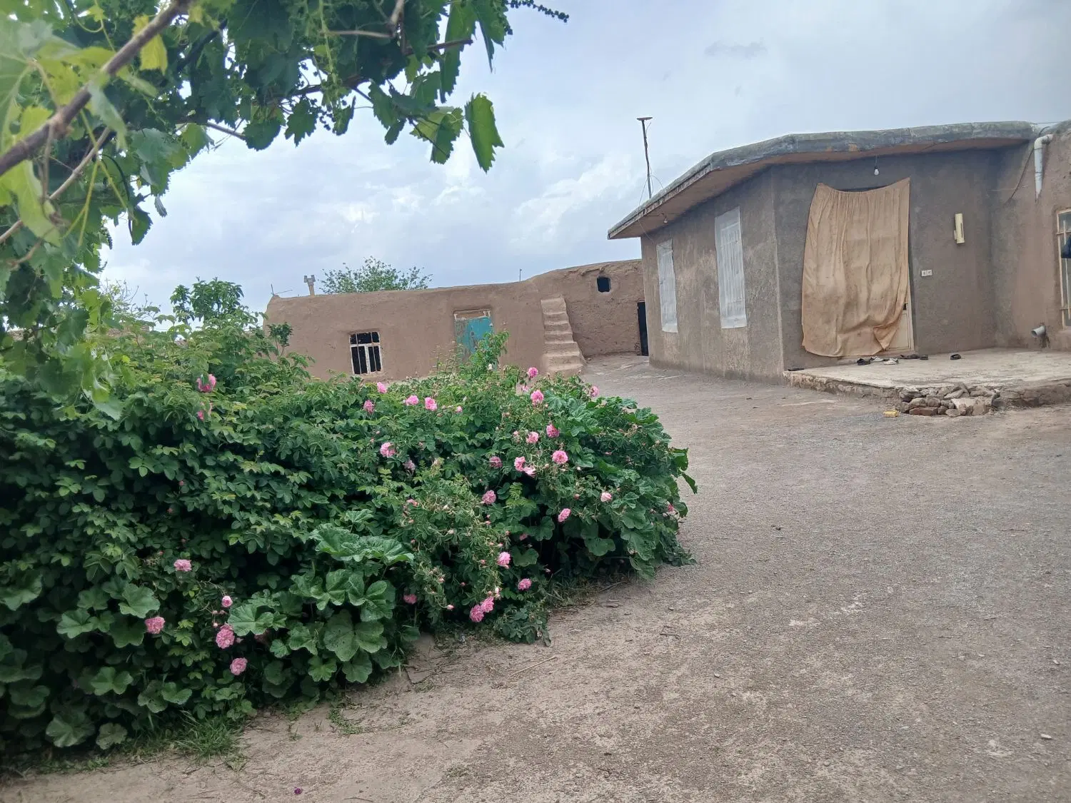 ویلایی ۸۰۰متر