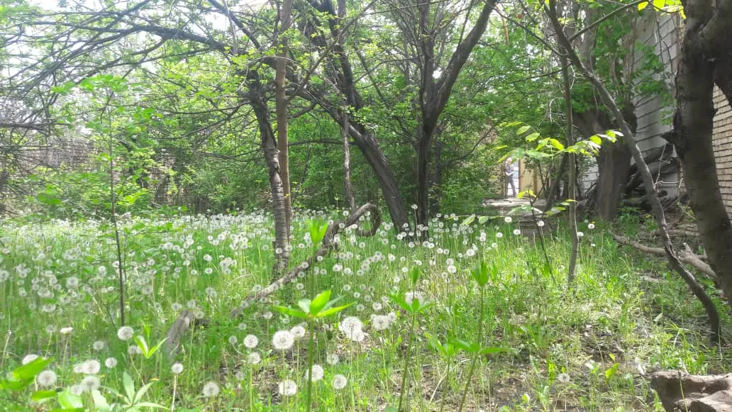 زمین مسکونی گوهران