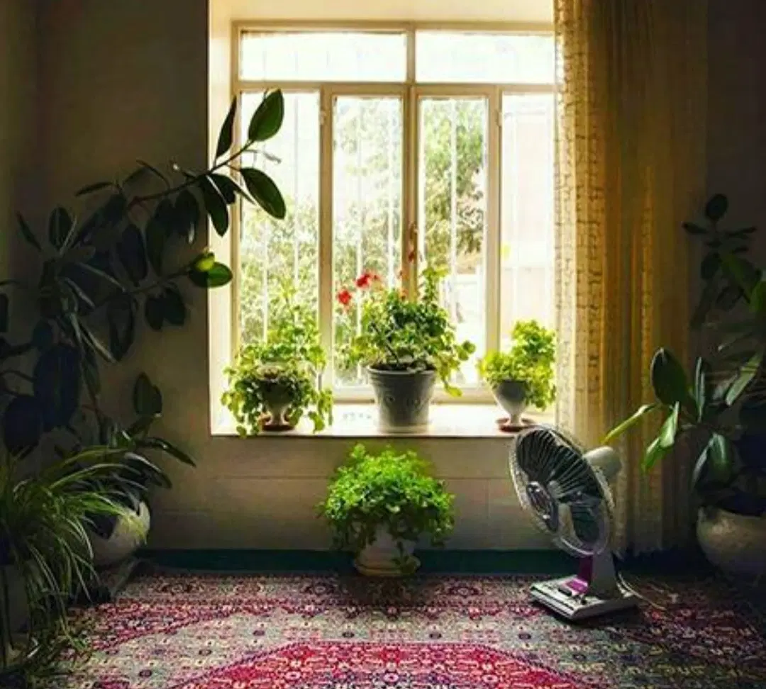 مستاجرم دنبال واحد