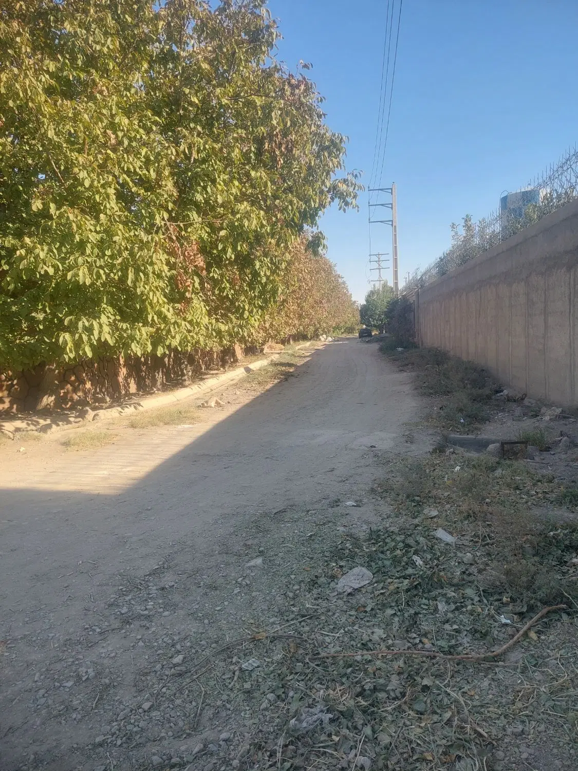باغ ۷ ساله (مناسب ساخت،سرمایه گذاری)