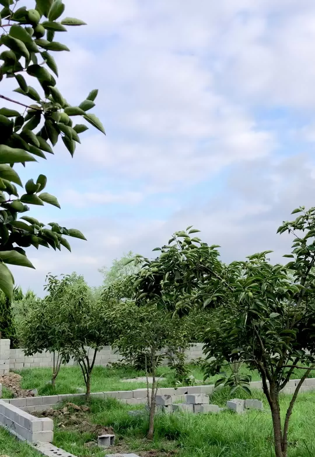 قطعات الحاق به بافت رنج ۲میلیارد امکان اقساط