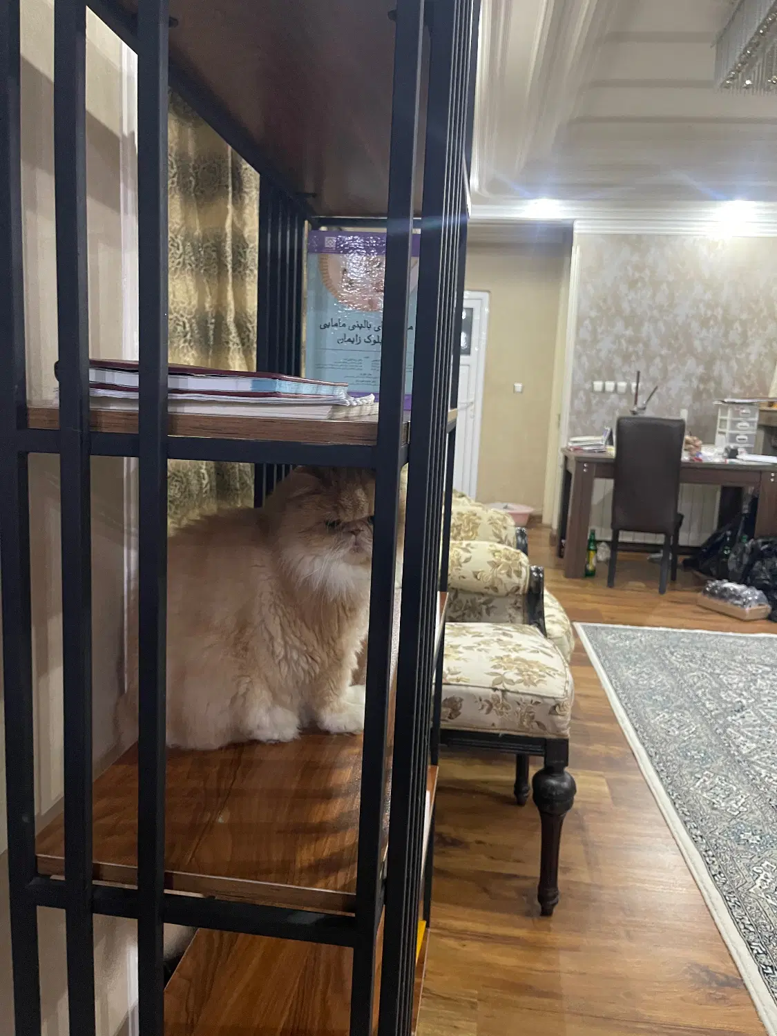 فروش آپارتمان