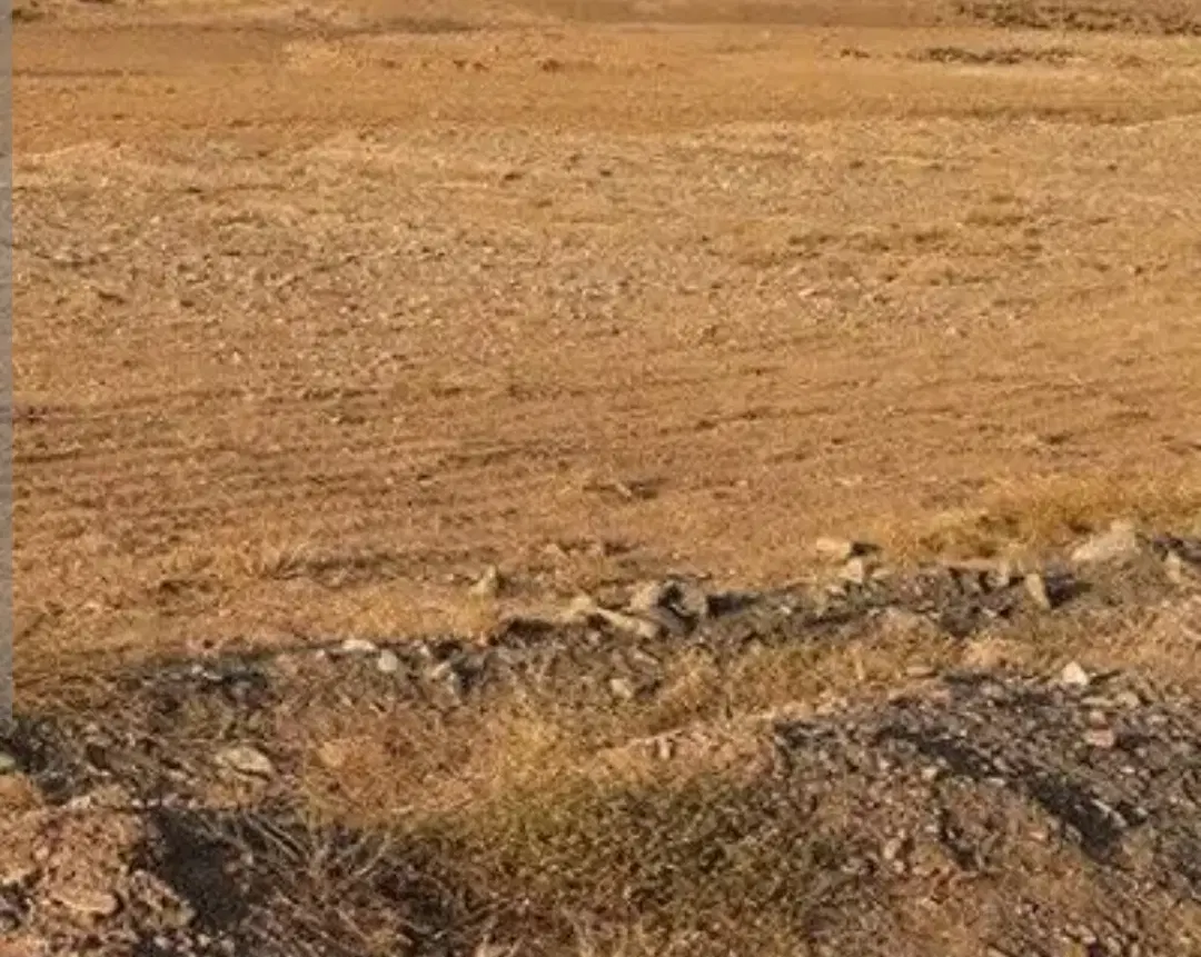 فروش زمین  بلوارمکران