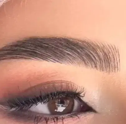 صندلی اجاره خانما
