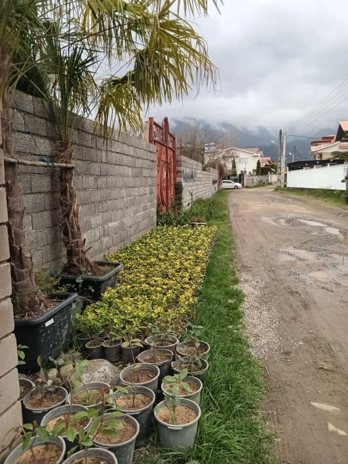 فروش زمین