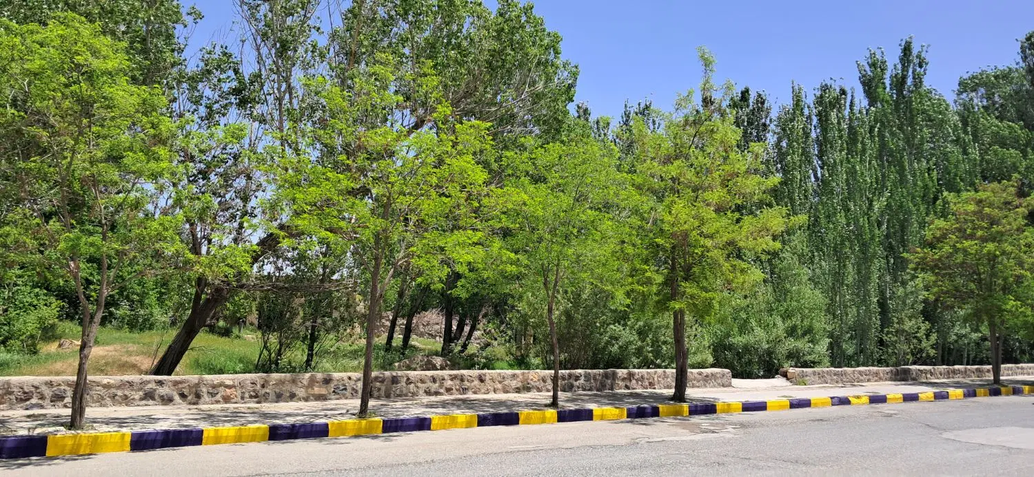 زمین مسکونی دونبش،خیابان جام جم سریش آباد