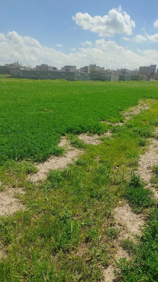 یک قطعه زمین 260متر