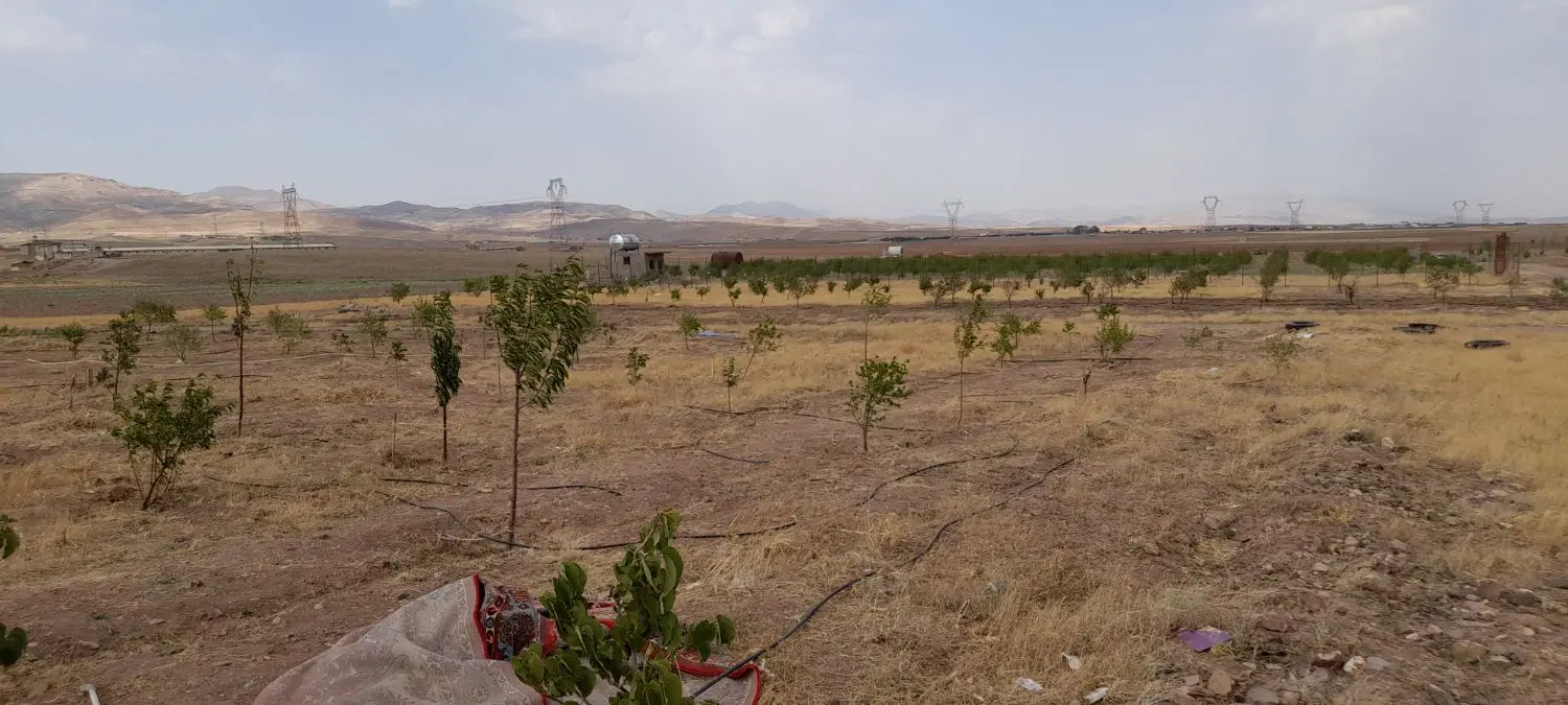 زمین باغ محموداباد علمخانی علم خانی