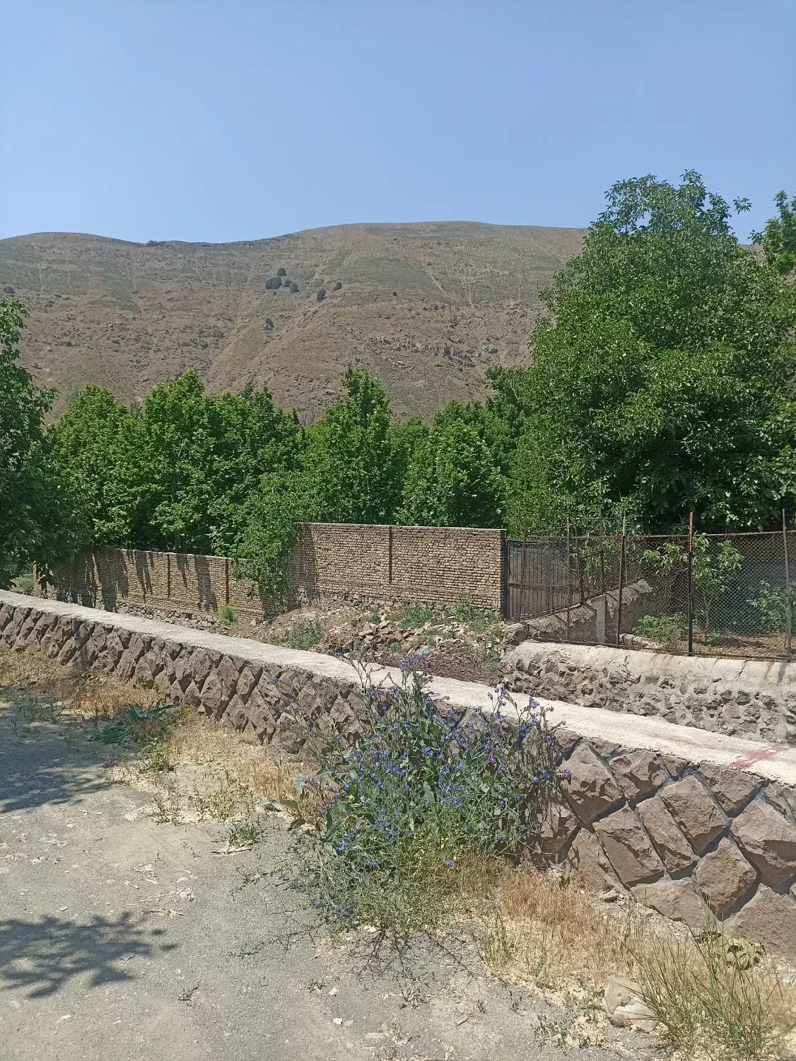 ۱۵۰۰ متر باغچه آماده ساخت