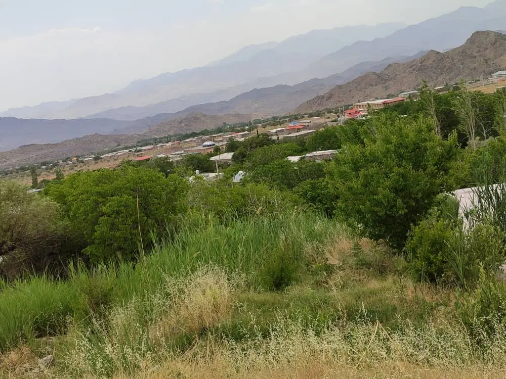 زمین باغی