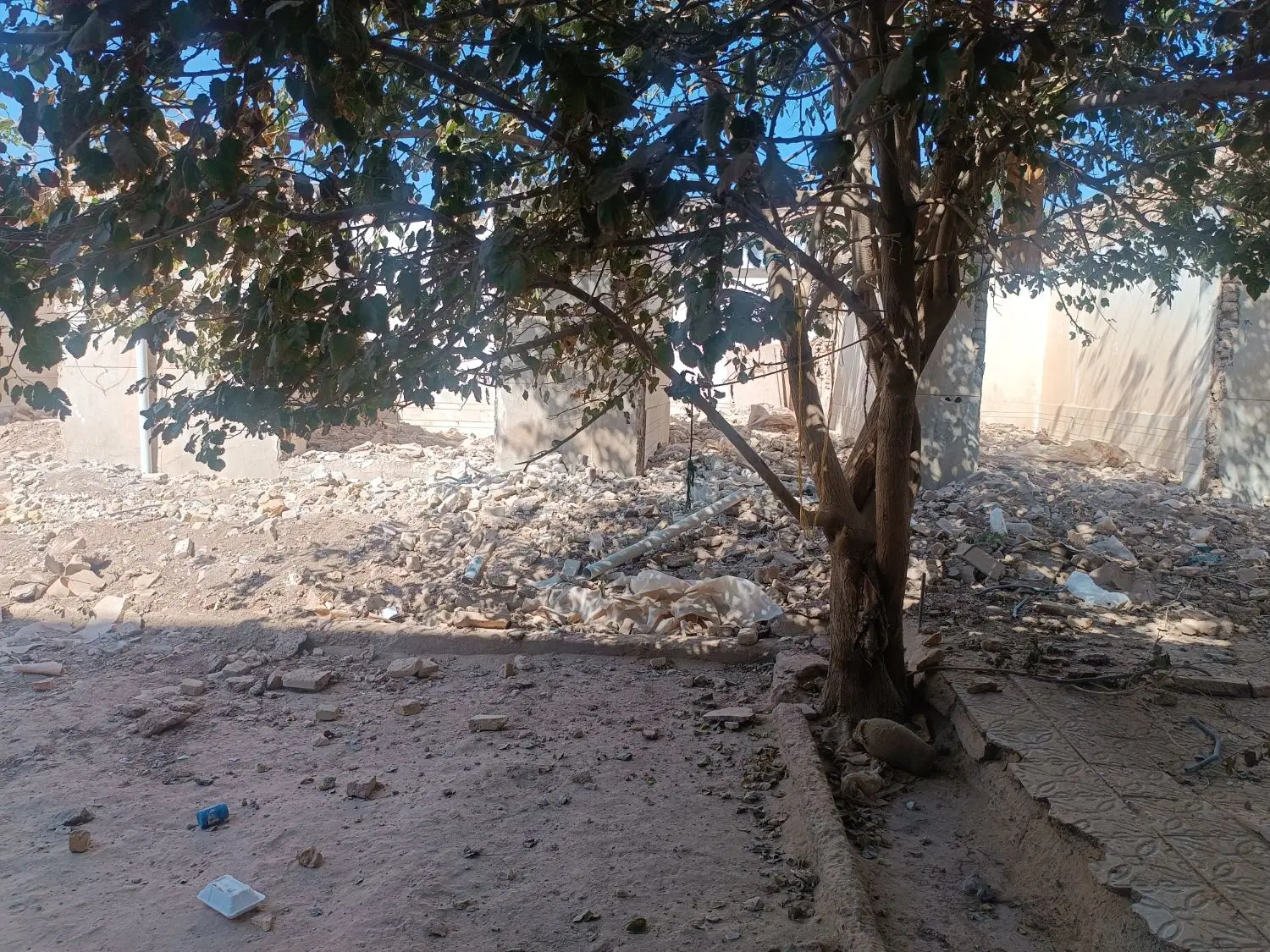 زمین فروشی صائب