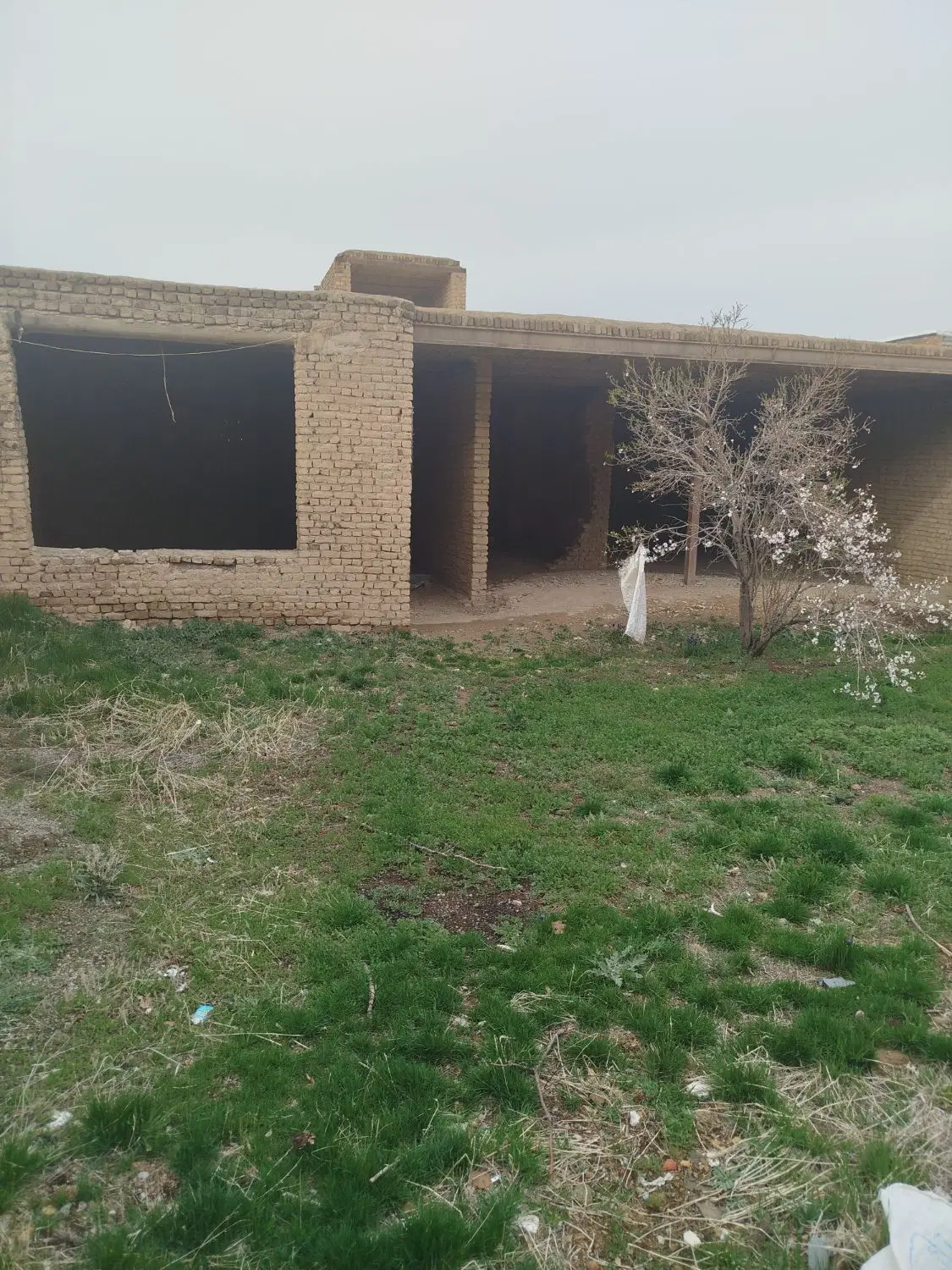 ملک کلنگی با سند 6دانگ