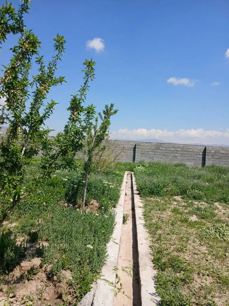 باغ با حصار در صوفیان