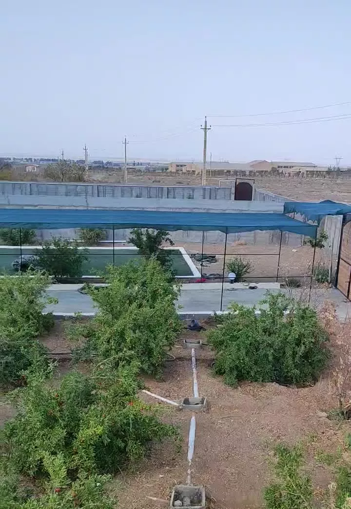 زمین باغ چهار دیواری