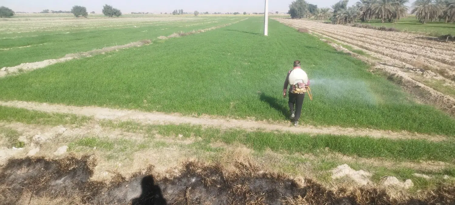 زمین  نزدیک روستا و کانال آب مناسب برای ویلا