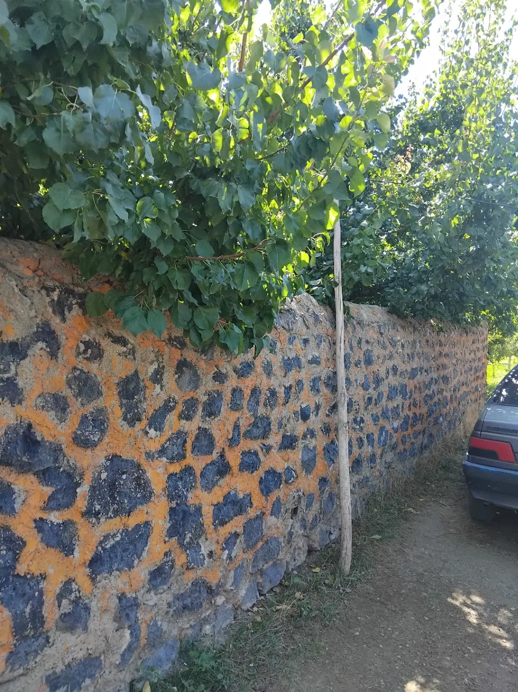 فروش یک باب حیاط مسکونی با سند سه دانگ