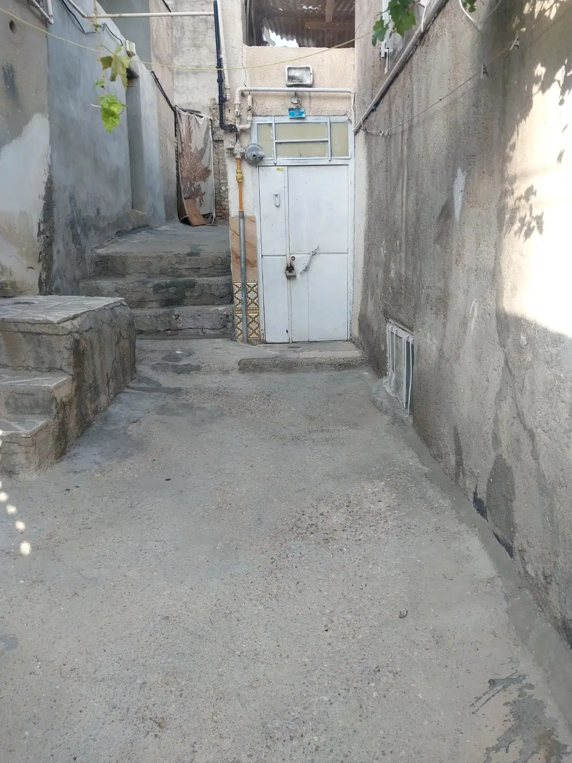 یک باب حیاط ۵۰ متری