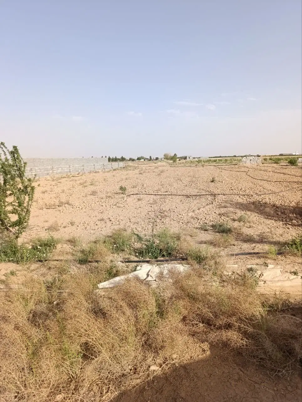 زمین باغی سند تک برگ اقساط