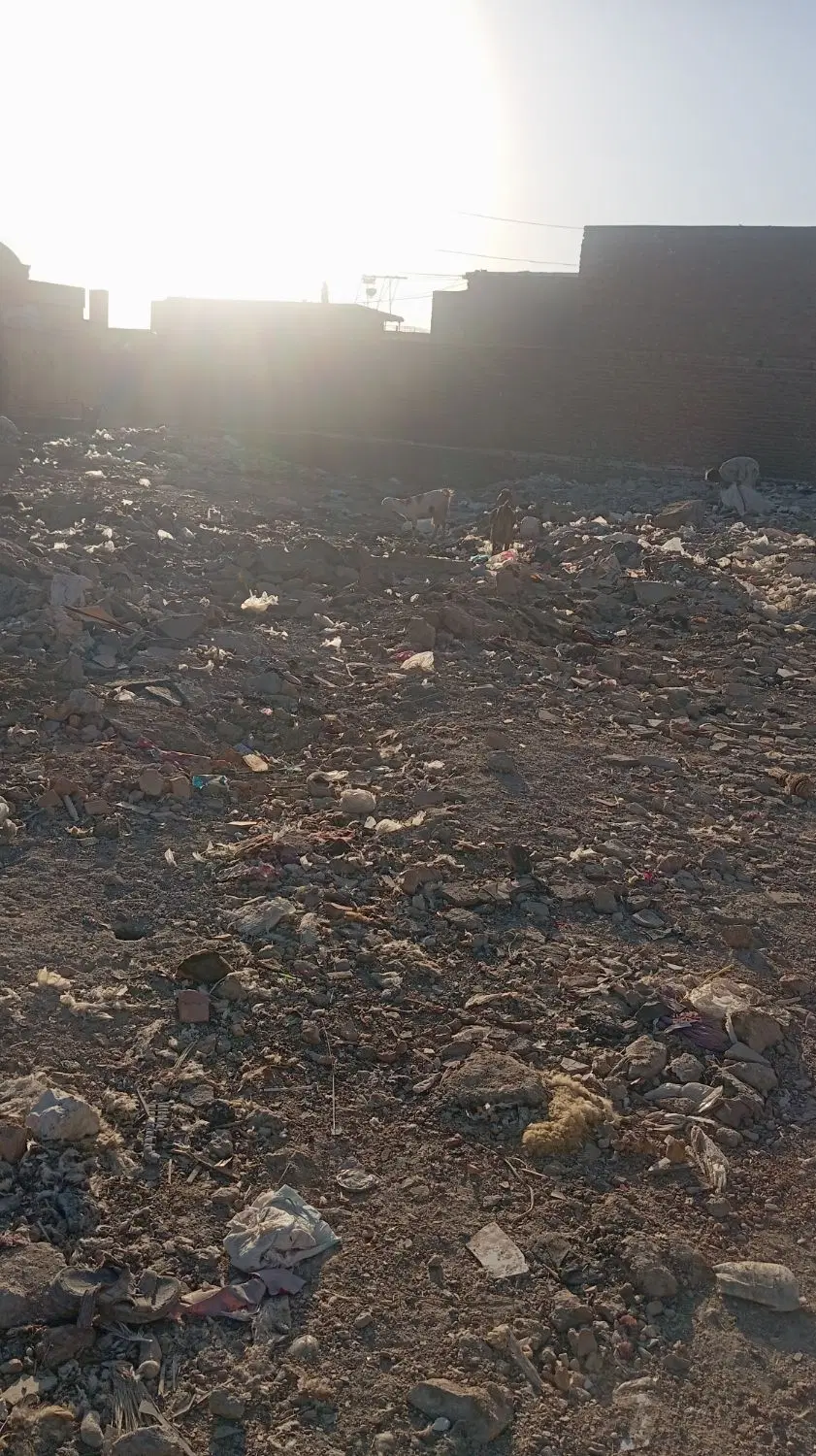زمین