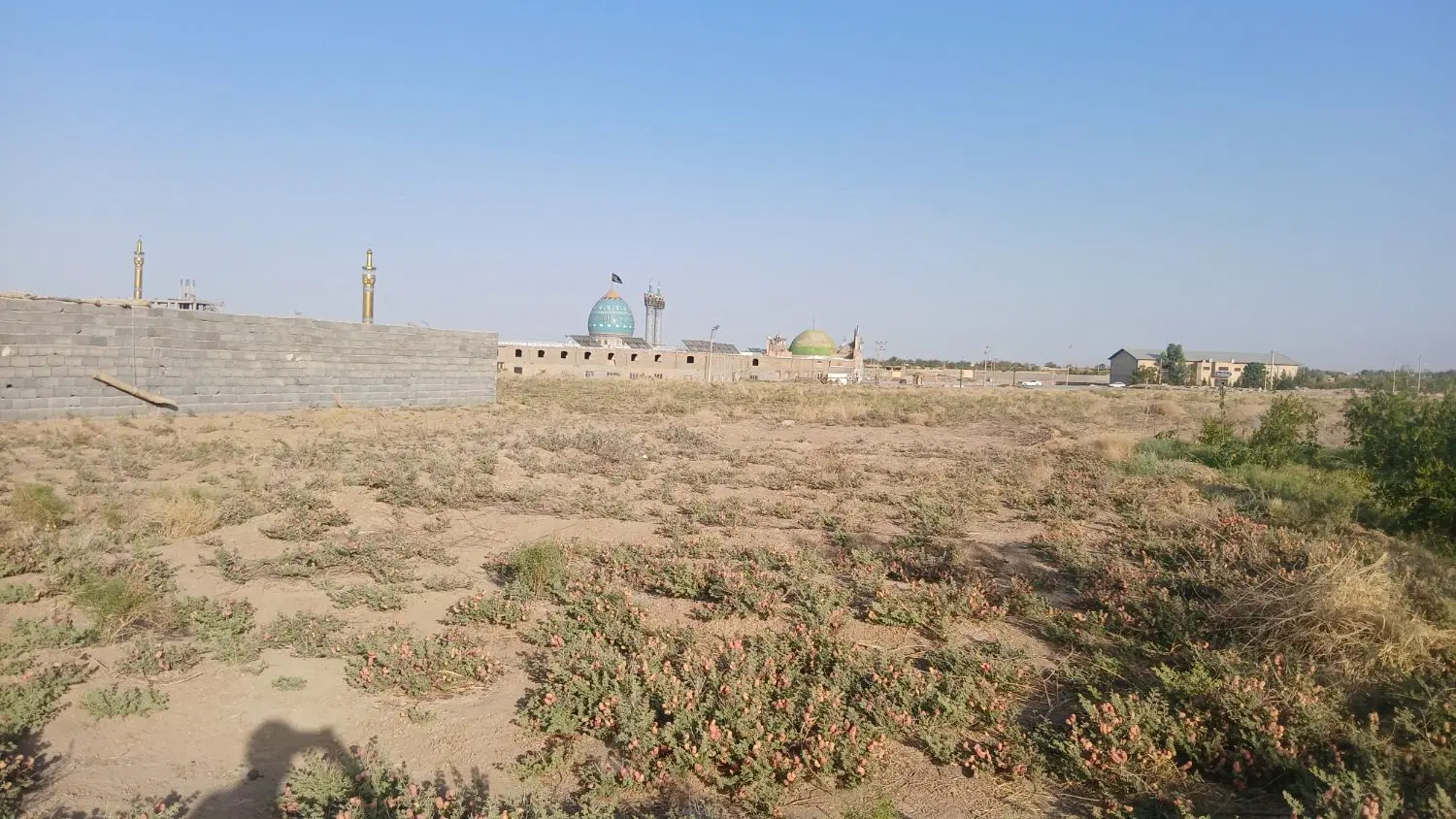 زمین ۲۵۰ متری