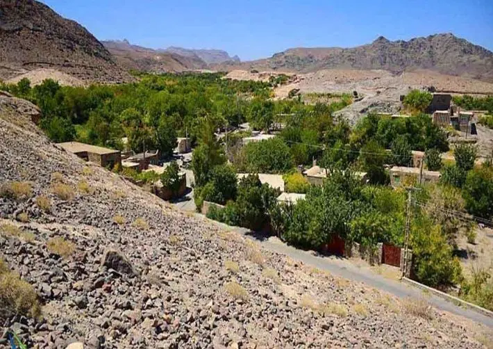 زمین فروشی دو قطعه