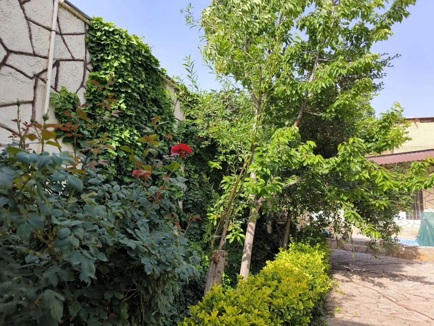 باغ ویلا نقلی خوش نقشه ابرده