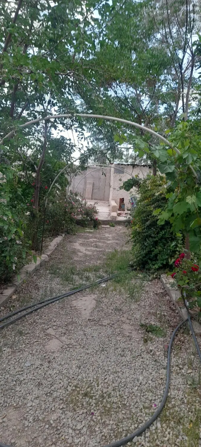 باغچه چهاراه دیواری