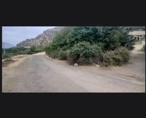 فروش خانه و باغ