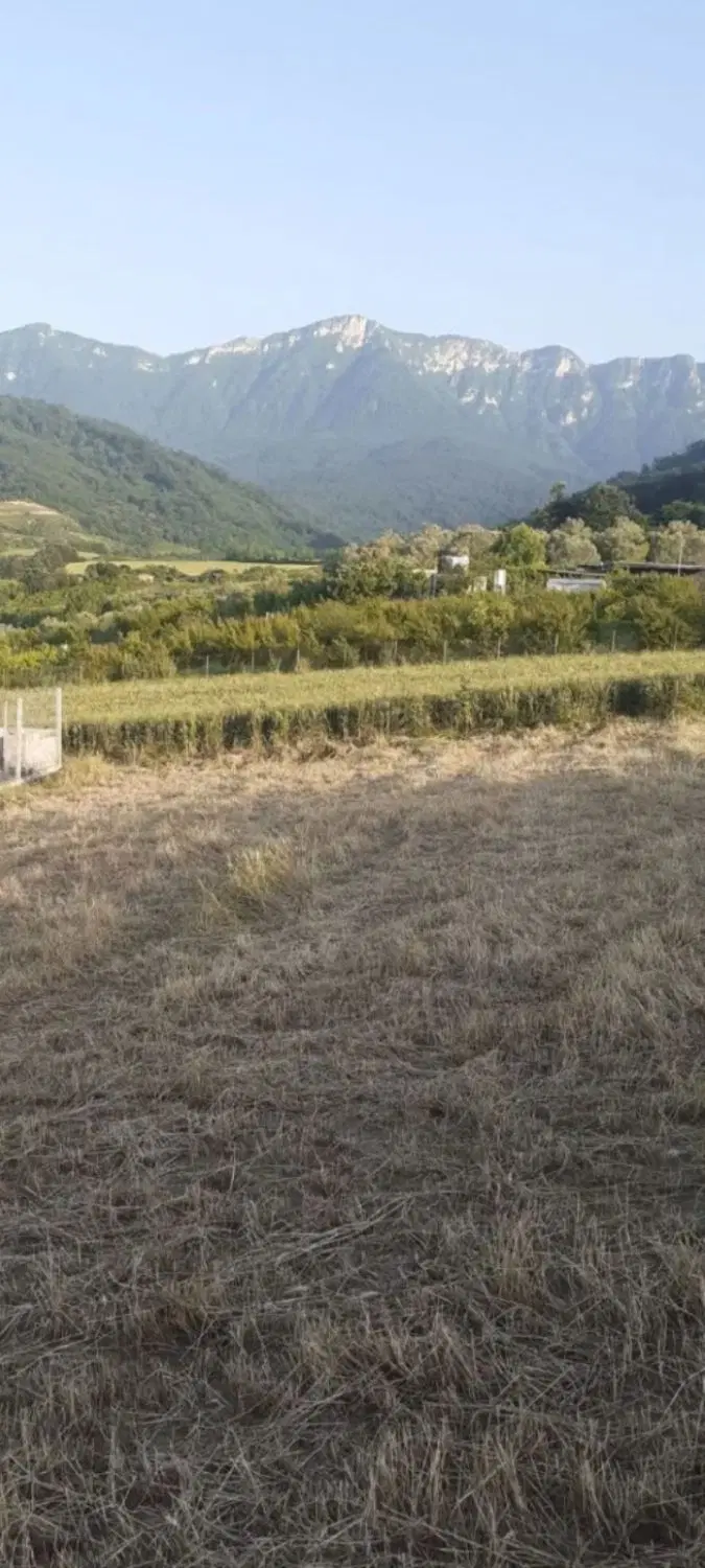 ۳۰۰ متر زمین شموشک بالا