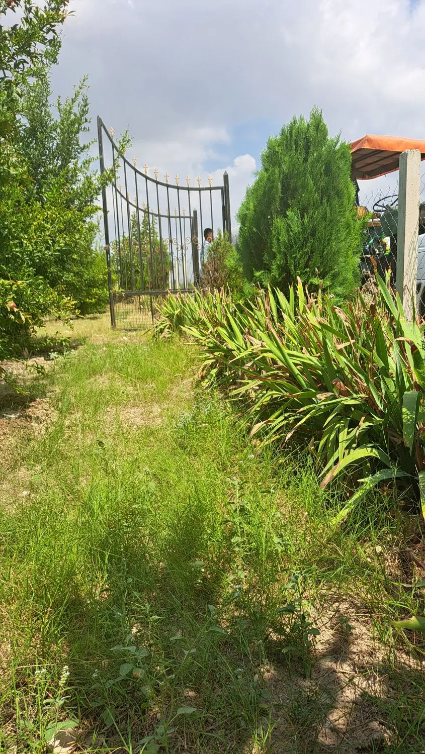 زمین باغی