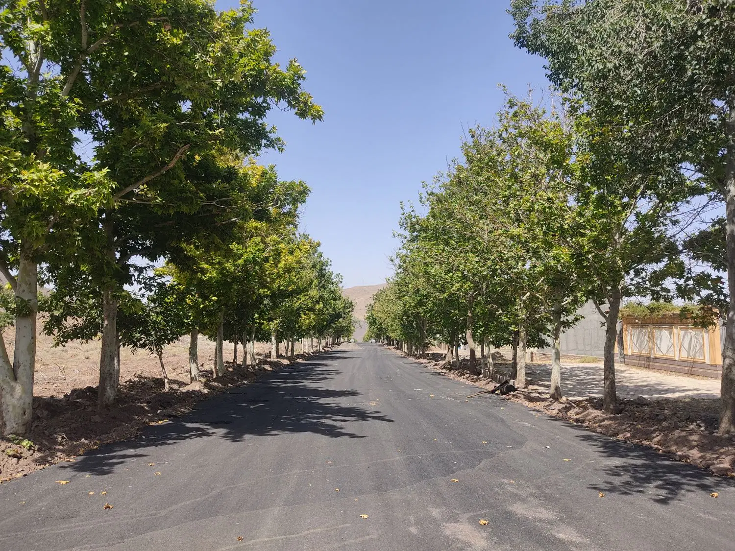 زمین قمصر