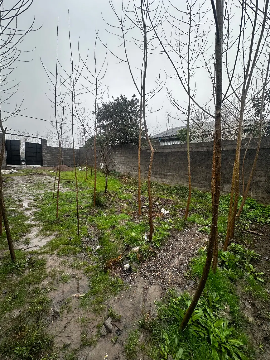 زمین مسکونی چوکام بر اصلی خیابان