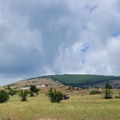 فروش یک قطعه زمین با سند تک برگ(باغی مزروعی)