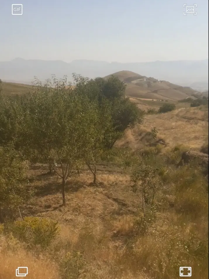 زمین کشاورزی