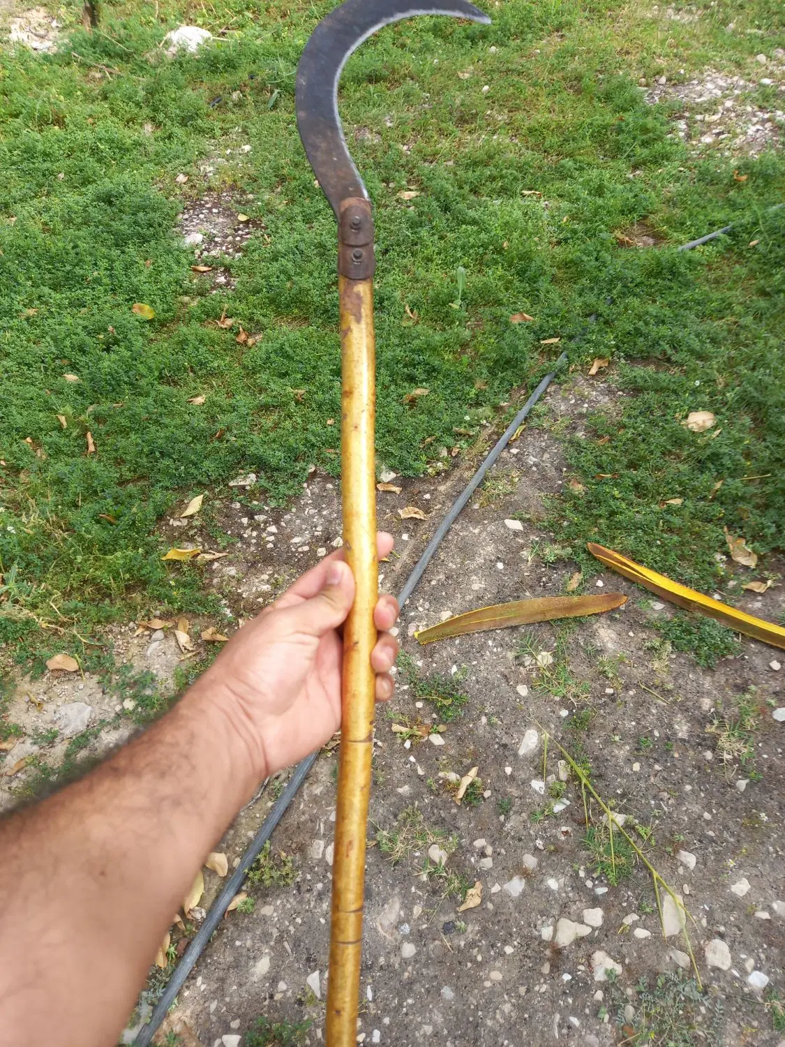 سوله سرپوشیده