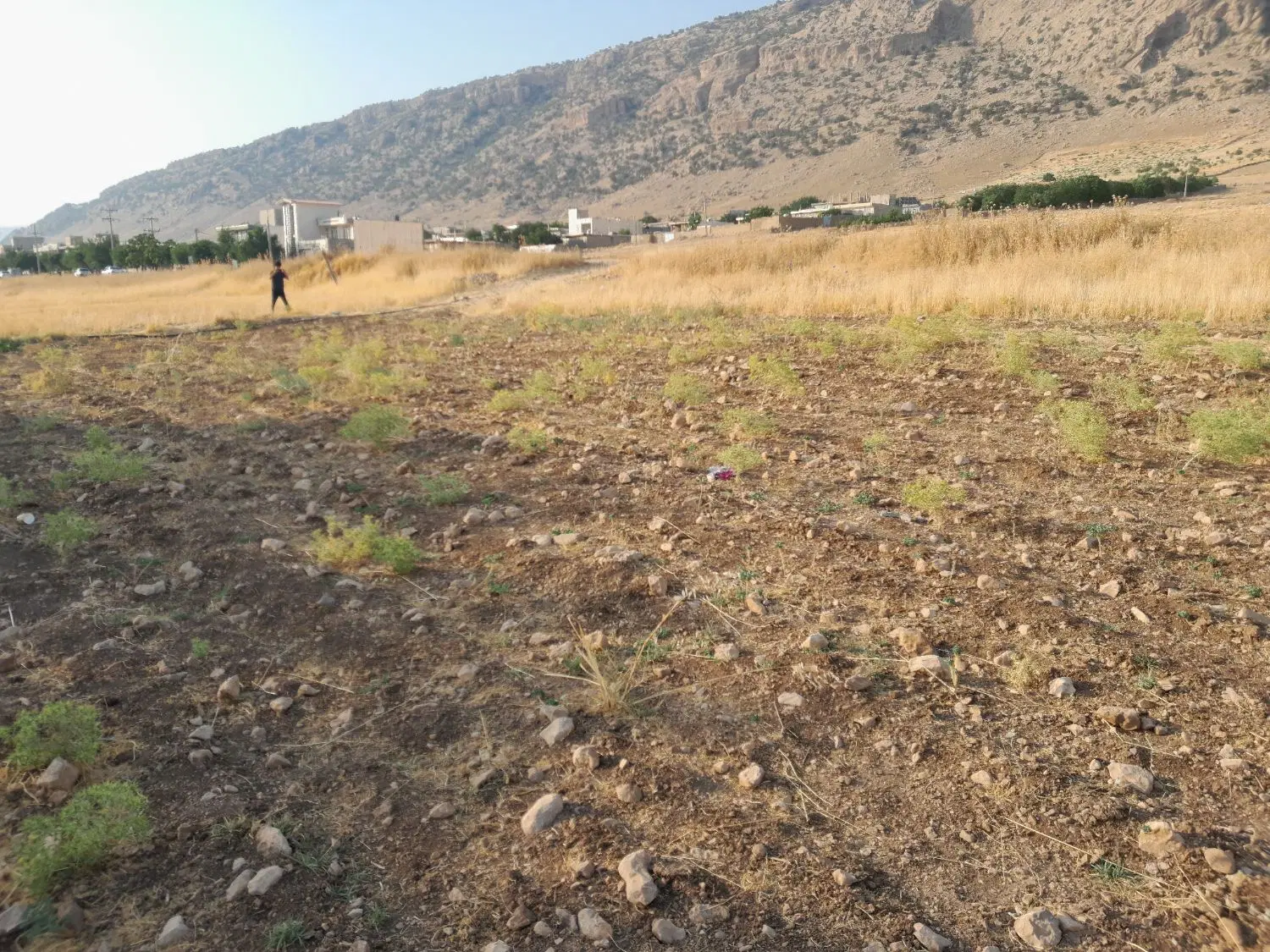 فروش زمین