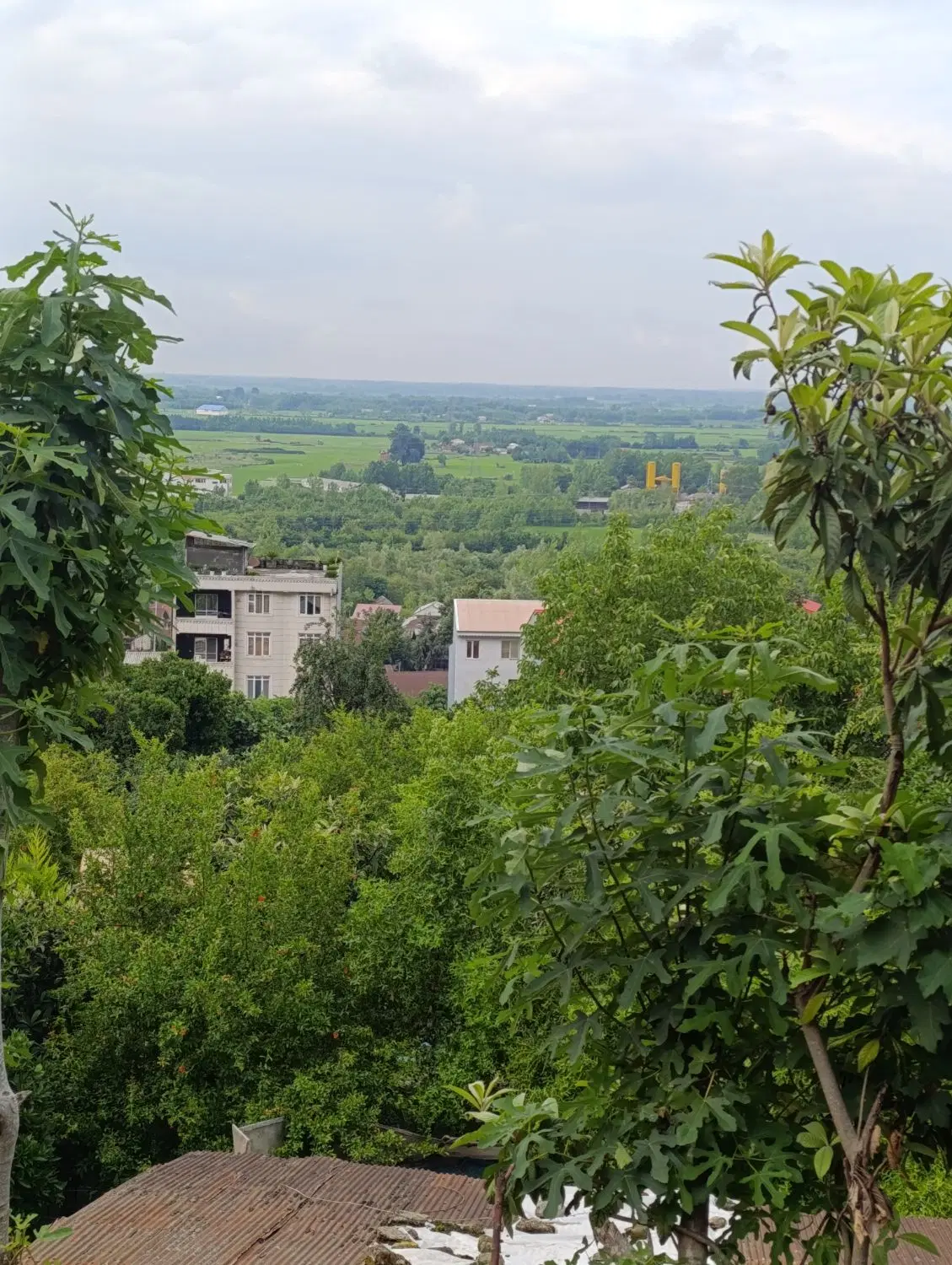 351متر _ زمین ویلایی _ خوش قیمت _ شهرک گلها