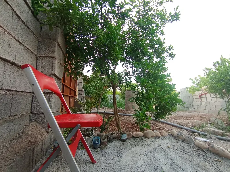 باغچه ویلا چکی