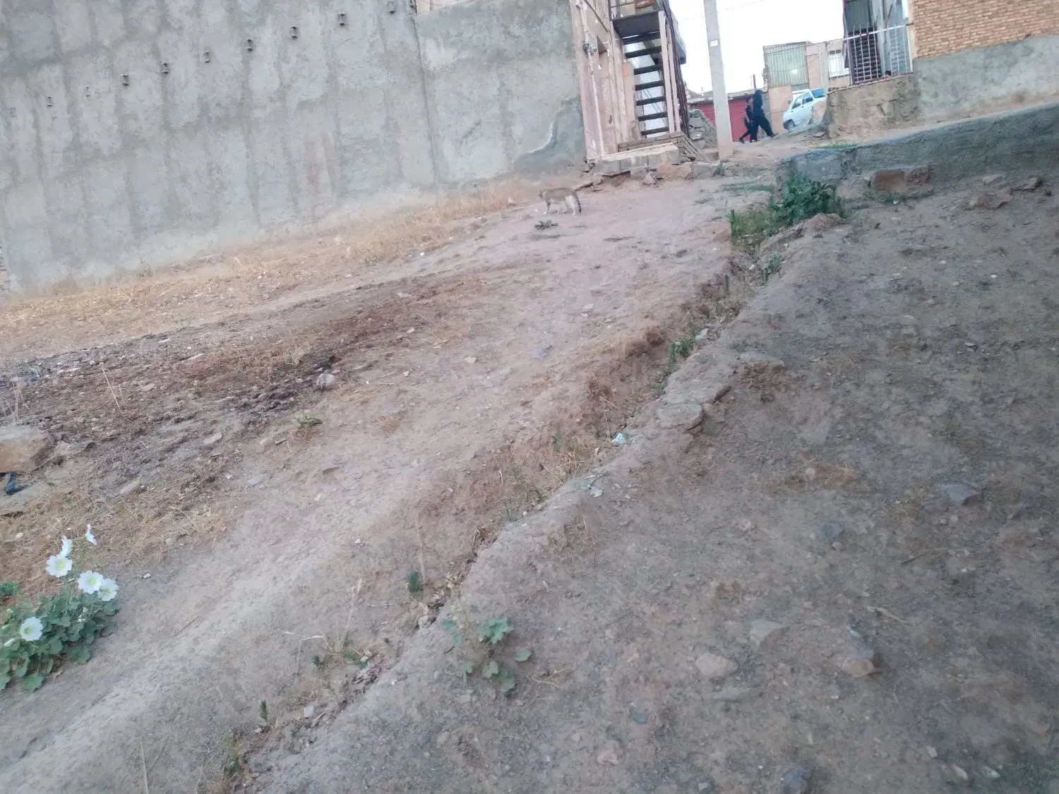 فروش  زمین 61متری نایسر کانی په پوله